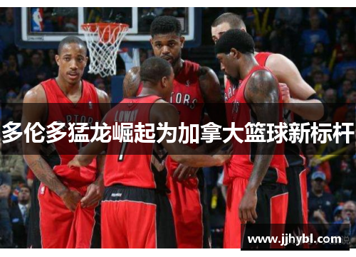 多伦多猛龙崛起为加拿大篮球新标杆